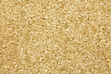Background of short grain brown rice