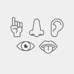 Sense organs flat vector icons. Hearing, smell, touch, vision, taste flat vector icons