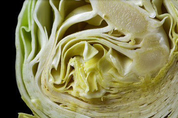 cabbage black background