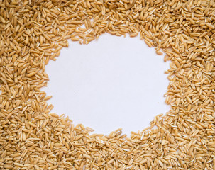 Oat grains   with a place for designers. 