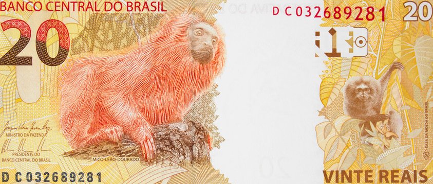 Brazil 20 real note. Brazilian money, currency, economy..