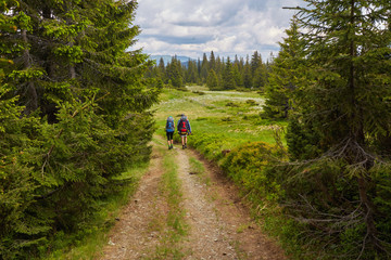 Obraz premium Rear view of two young people walking down the trail path on forest.