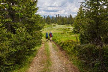 Rear view of two young people walking down the trail path on forest.