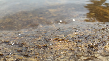 sea and rocks