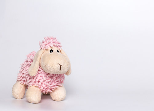 Lamb plush toy. White and pink lamb. Gray background. 