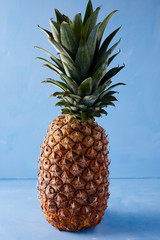 One tasty, fresh, useful pineapple on a blue background. Tropical fruit.