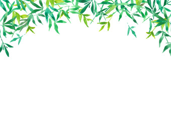 green bamboo leaves for background, watercolor illustration