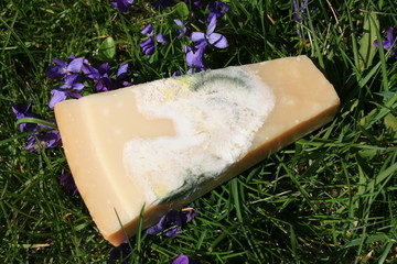Parmesankäse verschimmelt