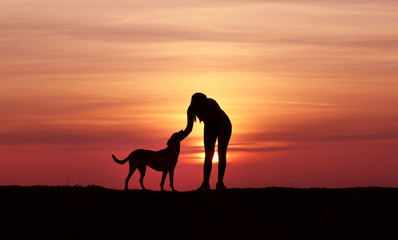 The girl and the dog at sunset, the Belgian Shepherd Malinois breed, an incredible sunset, friendship and relationships, a sporty girl