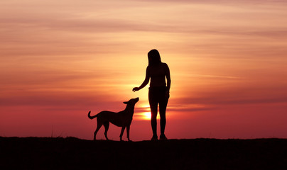 The girl and the dog at sunset, the Belgian Shepherd Malinois breed, an incredible sunset, friendship and relationships, a sporty girl
