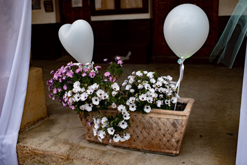 Cumpleaños golosinas gominolas globos flores fiesta