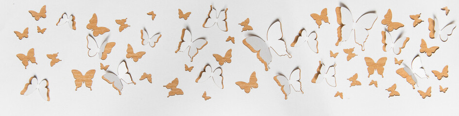 Beautiful paper butterflies