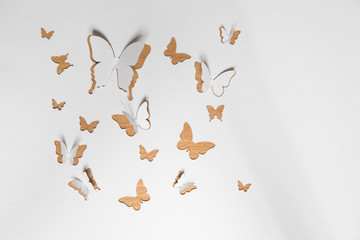 Beautiful paper butterflies