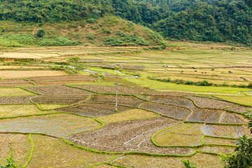 Fototapeta na wymiar rice fields after harvest, preparing the fields for planting rice, landscape, Vietnam