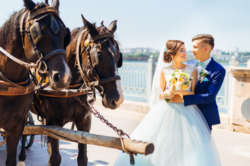 wedding couple stand near brown horses with carriage