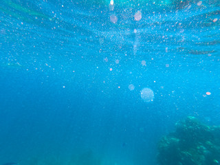 Beautiful texture of the sea and ocean water. blue background. Underwater photography. Red Sea, Egypt.