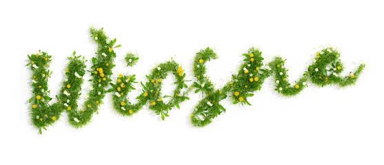 Fototapeta napis wiosna utworzony z trawy i kwiatów, 3D render obraz