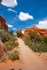Arches National Park, Moab,Utah,USA.