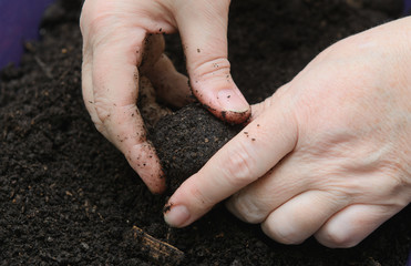female hand kneads a piece of black soil
