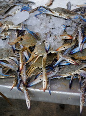 crabs in a street market