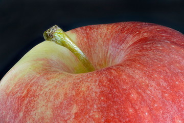 Apple (closeup)