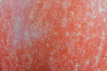 Apple Skin