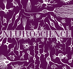 Neuroscience doodle and biomedical illustration containing outline of different neurons in the human brain with empty fill. For education, coloring books, covers, prints and backgrounds.