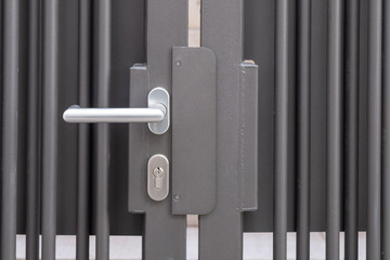 Closed Iron Gate with Door Handle