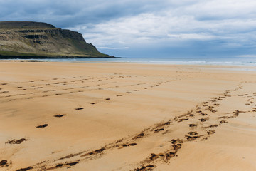 Ocean beach with yellow sand. Embankment of the ocean and Iceland.