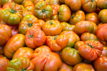 tomatoes at the market