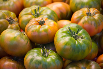 Obraz premium tomatoes on the market