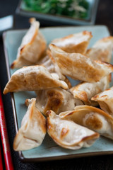 Closeup of japanese pan fried gyoza on a turquoise plate, selective focus, vertical shot