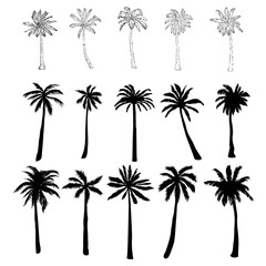 Set of vector silhouettes of palm trees of different shapes isolated on white background for your design