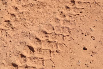 Close up the Dirt Road Texture with Tire Marks