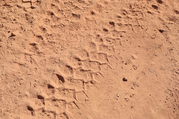 Close up the Dirt Road Texture with Tire Marks