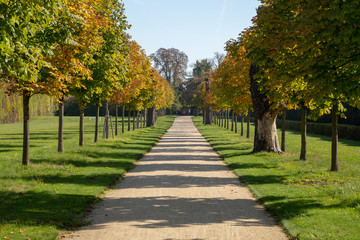 Fototapeta premium Romantic corners of the castle garden Milotice