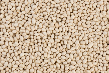small white bean bean texture background. nutrition. food ingredient.
