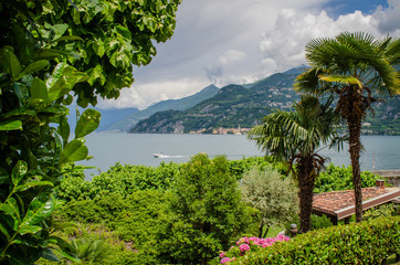 Fototapeta na wymiar Como lake landscape with palm trees and blue sky in Bellagio