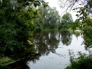 lake in forest