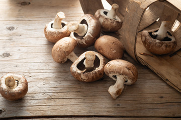 Mushrooms champignons royal scattered on a wooden background
