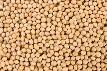 soy bean texture background. nutrition. food ingredient.