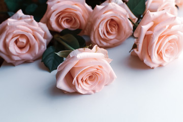 A bouquet of pale pink roses lies on the table. Side view. Copy space