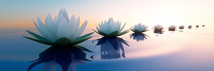 Afwasbaar Fotobehang Badkamer Lotusbloemen bij zonsondergang 2