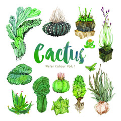 Castus WaterColor 02