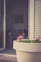 Ristorante Vetta Monte Brè