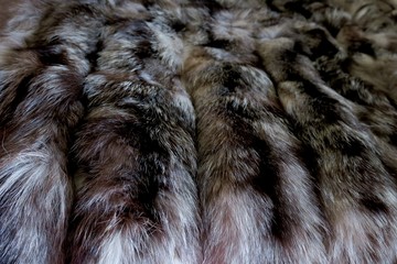 natural fur gray white with black stripes