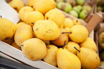  fresh ripe organic yellow pears local farmers market