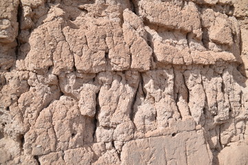 Coolidge, AZ., U.S.A., Jan. 30, 2018.  Casa Grande Ruins National Monument in 1918.  Mystery surrounds this unique circa 1350 A.D. 4-story “caliche” brick building and surrounding structures