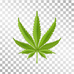 Hemp leaf isolated on transparent background. Realistic marijuana. Cannabis plant. Vector Illustration - obrazy, fototapety, plakaty