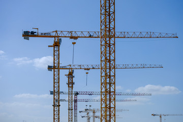 Row of tower crains at construction site